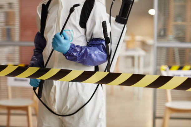 Professional Hoarding Cleanup technician working in Huntsville, TX